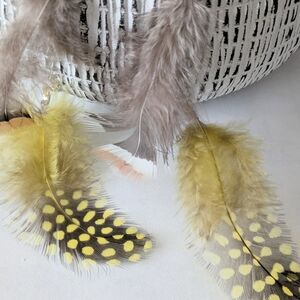 Feather Dangle Earrings